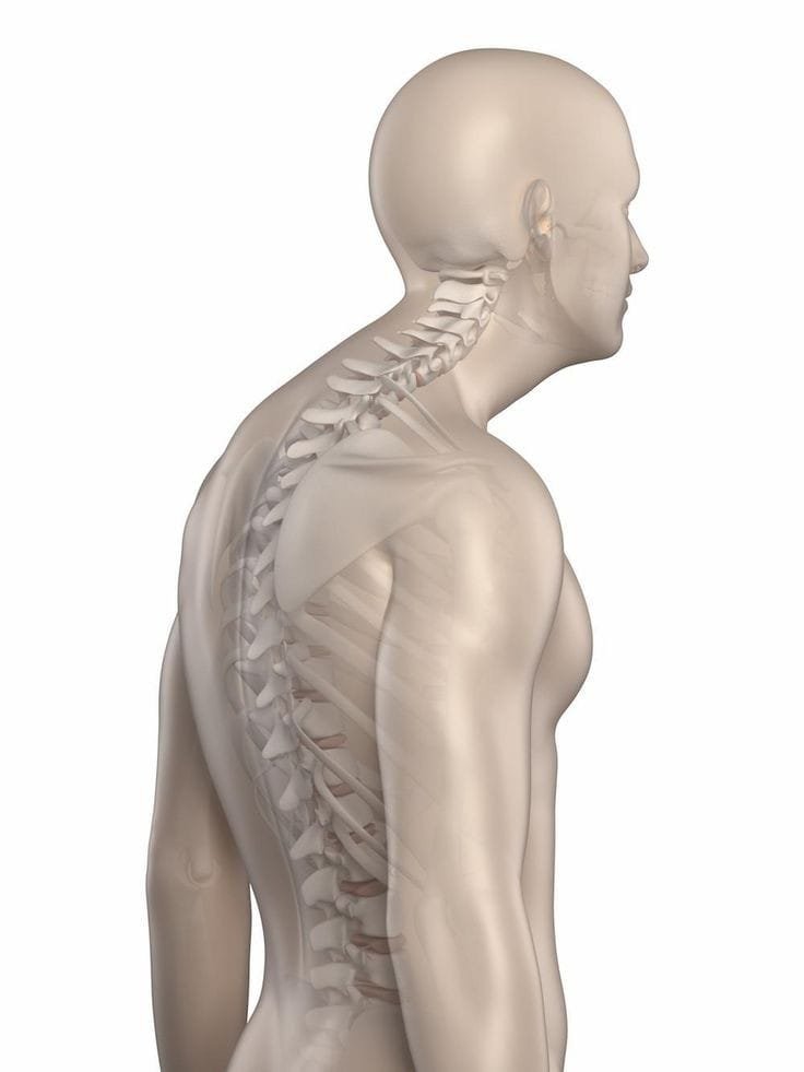انحناء الظهر (الاتب): الأسباب، الأعراض، وأفضل طرق العلاج – orthogambol.com